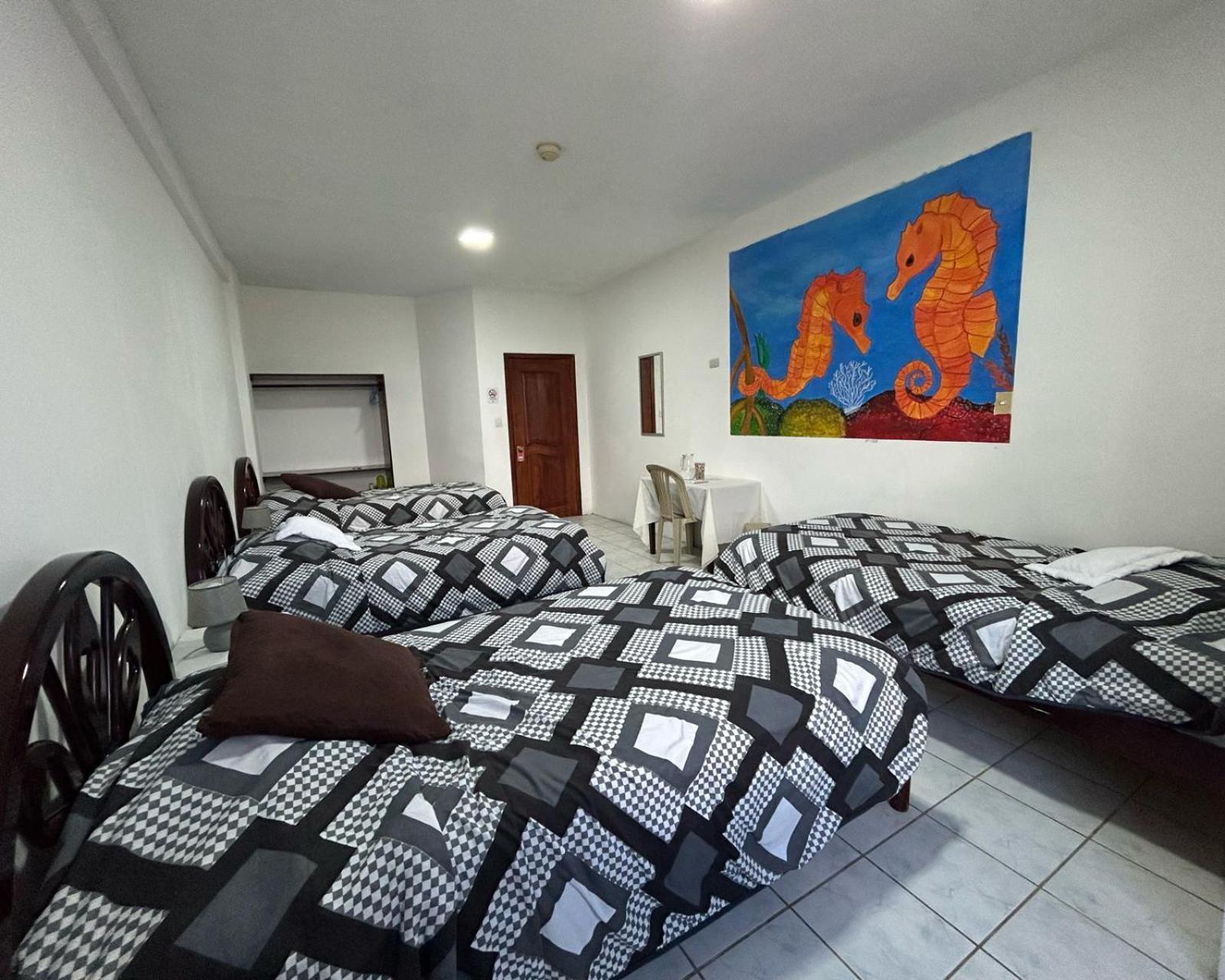 Hotel Isla Del Descanso بْوُرتو فيلاميل المظهر الخارجي الصورة